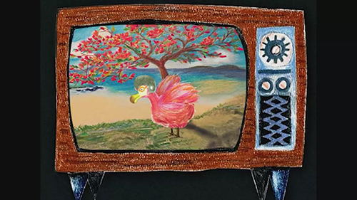 Natural light X Huawei nova star short video contest works Natural light X Huawei nova star short video contest works