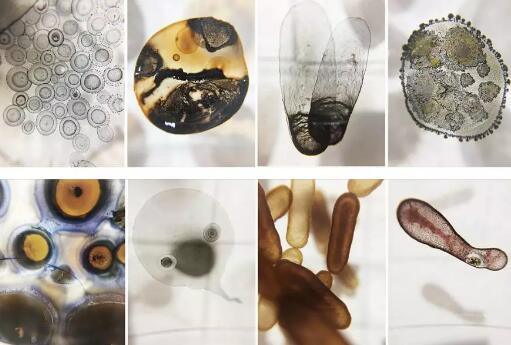 photo collections photo collections