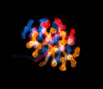 Photography New Media Works Collection Photography New Media Works Collection