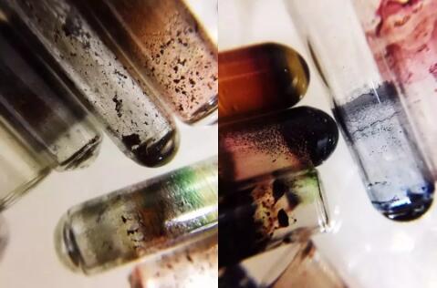 Collection of Micro Photography Collection of Micro Photography