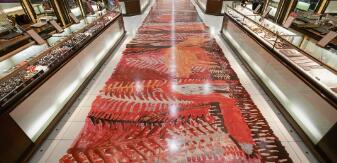 Window design illustration floor sticker Window design illustration floor sticker