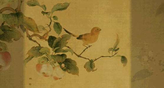 Animation is divided into several types and characteristics Animation is divided into several types and characteristics