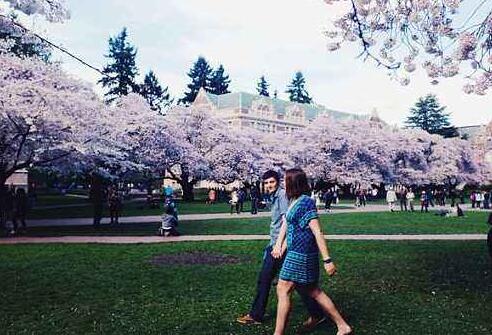 Application for Studying in American Arts Application for Studying in American Arts