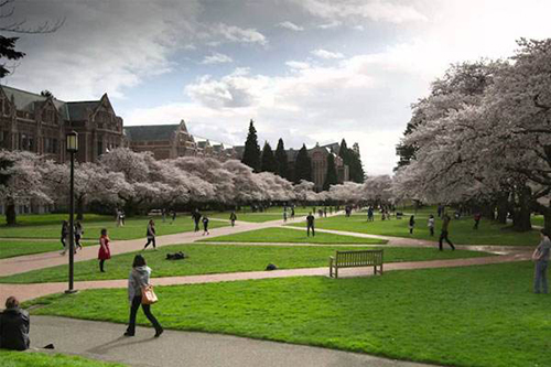 Real life of studying abroad Real life of studying abroad