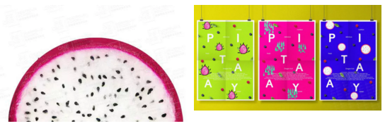 Collection of British Graphic Design Works Collection of British Graphic Design Works