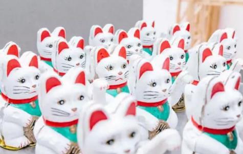 Student works of the Department of Future Materials, Central Saint Martin College Student works of the Department of Future Materials, Central Saint Martin College