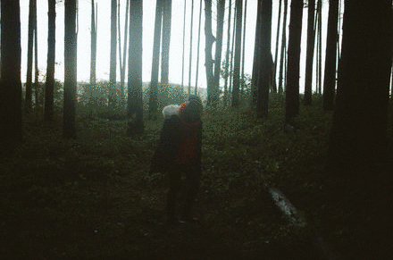 Professional Photography Works Professional Photography Works