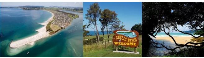 Auckland, the largest city in New Zealand Auckland, the largest city in New Zealand