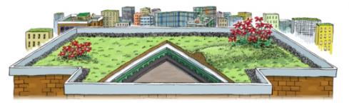 Study abroad in landscape design art Study abroad in landscape design art