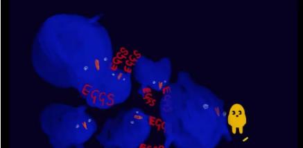 LCC illustration professional alumni works LCC illustration professional alumni works