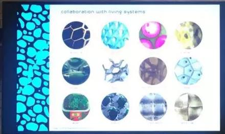 Works of the Director of CSM Saint Martin Biological Design Department Works of the Director of CSM Saint Martin Biological Design Department