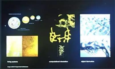 Works of the Director of CSM Saint Martin Biological Design Department Works of the Director of CSM Saint Martin Biological Design Department