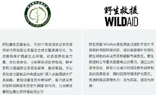 Cross border exhibition cooperation of environmental art Cross border exhibition cooperation of environmental art