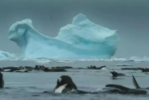 Our Planet Our Planet