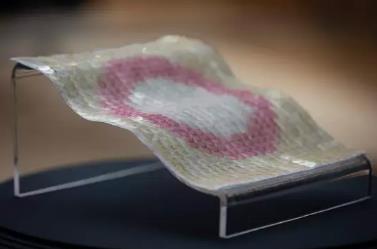 Central Saint Martin Graduates' Works Exhibition Central Saint Martin Graduates' Works Exhibition