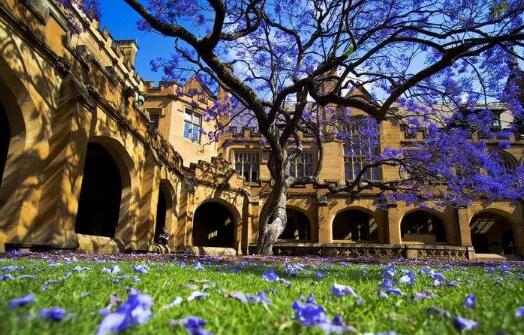 5d3ab45a0b227.jpg QQ screenshot 20190726160431.jpg