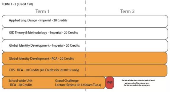  RCA Huangyi GID Curriculum