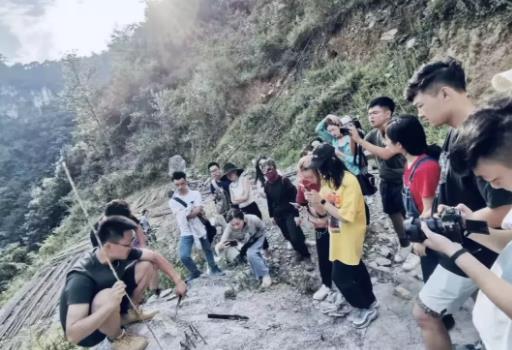 Natural light practical teaching portfolio training project Natural light practical teaching portfolio training project