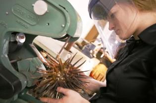 RISD Jewelry and Metals RISD Jewelry and Metals