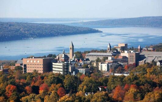 How high does Cornell University rank in the world How high does Cornell University rank in the world
