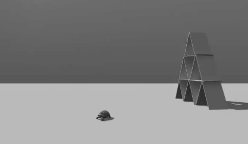 Photography major SVA Photography major SVA