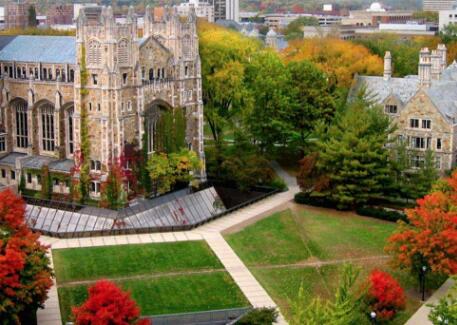 Ranking of the University of Michigan Ann Arbor Ranking of the University of Michigan Ann Arbor