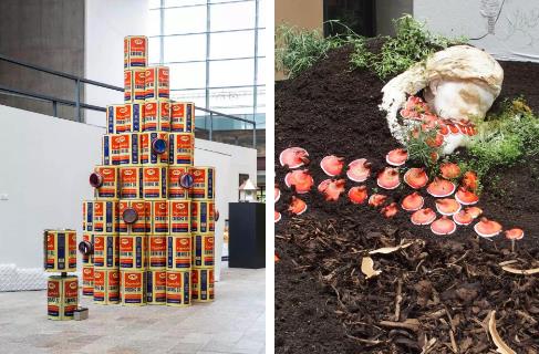 CSM new interdisciplinary research specialty CSM new interdisciplinary research specialty