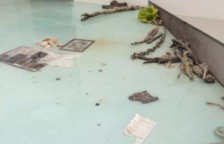 Collection creation Collection creation