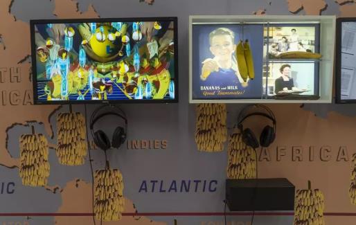 Multimedia creation media Multimedia creation media