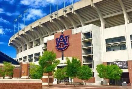 How much is the annual fee of Auburn University How much is the annual fee of Auburn University