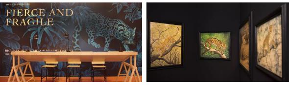 window display window display