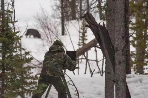 Image of Fortress Image of Fortress