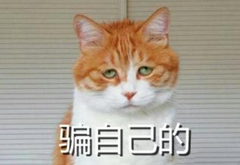 Teaching of composition template of works Teaching of composition template of works