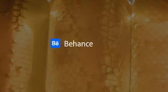 Collection submission method Behance Collection submission method Behance