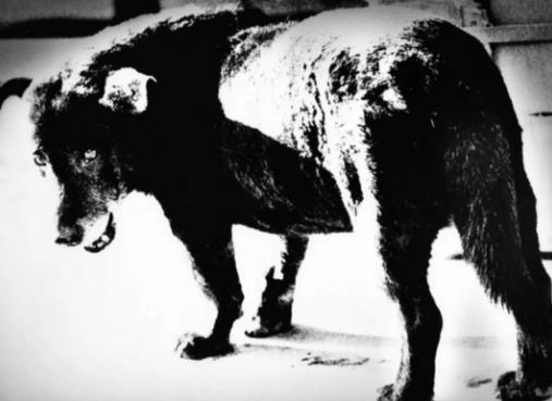 Street shooting documentary photography Street shooting documentary photography