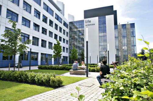 Application requirements for animation and visual effects major of Dundee University Application requirements for animation and visual effects major of Dundee University