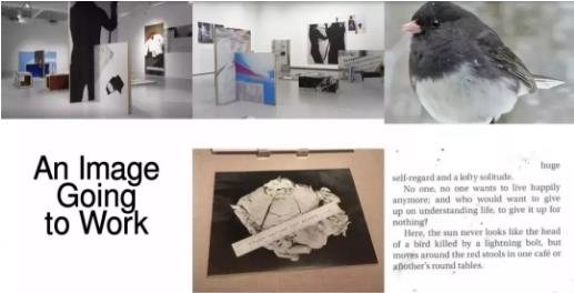 Graphic Design Works of Yale University Graphic Design Works of Yale University