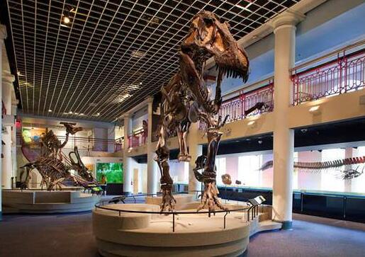 Drexel University Art Management Application Requirements Drexel University Art Management Application Requirements