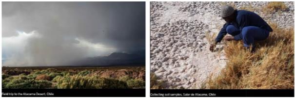 Royal Academy of Arts Environmental Architecture Royal Academy of Arts Environmental Architecture