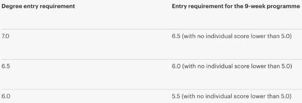 Language course requirements of Goldsmith College, University of London Language course requirements of Goldsmith College, University of London