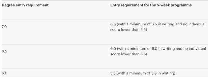 Language course requirements of Goldsmith College, University of London Language course requirements of Goldsmith College, University of London