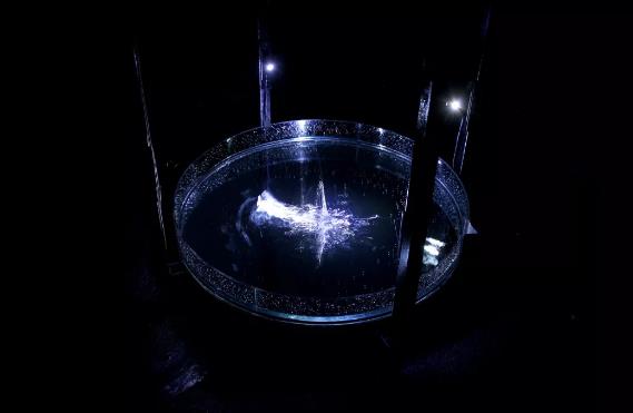 SD Design Research Student Works SD Design Research Student Works