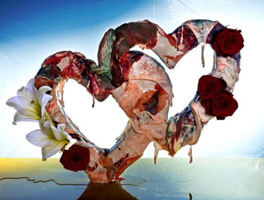 Ranking of Foreign Photography Universities Ranking of Foreign Photography Universities