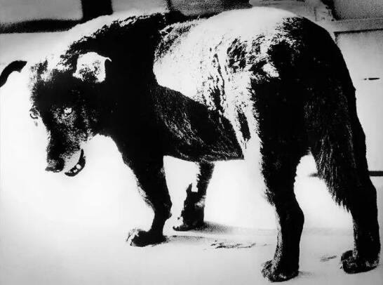 What are foreign professional photography schools What are foreign professional photography schools