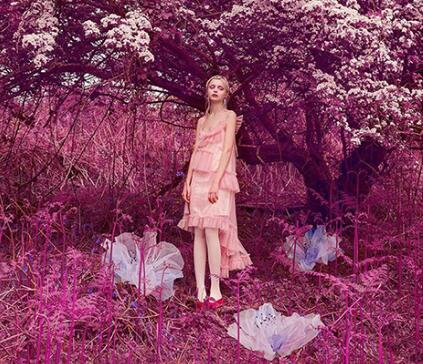 Master of Fashion Photography Master of Fashion Photography