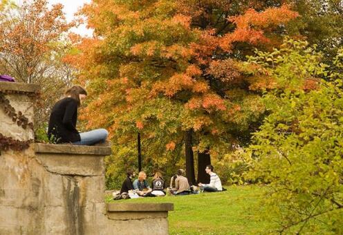 One year fee of Bud Conservatory of Music One year fee of Bud Conservatory of Music