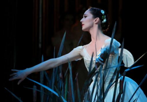 How to apply for the School of Music of Washington University? End date How to apply for the School of Music of Washington University? End date