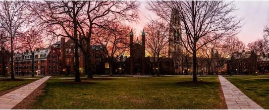 Yale University Yale University