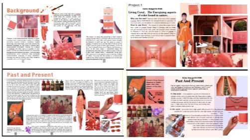 Collection of Fashion Management Works Collection of Fashion Management Works