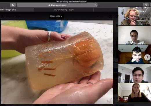 Epidemic Issues of Preet College Epidemic Issues of Preet College